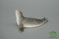 Preview: Schleich Seehund 14702